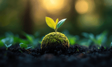 Singapore life insurance industry grows 19.7% in 2024