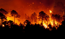 Japan battles largest wildfire in 50 years