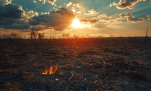 Cascading extreme weather events unleash billions in damages